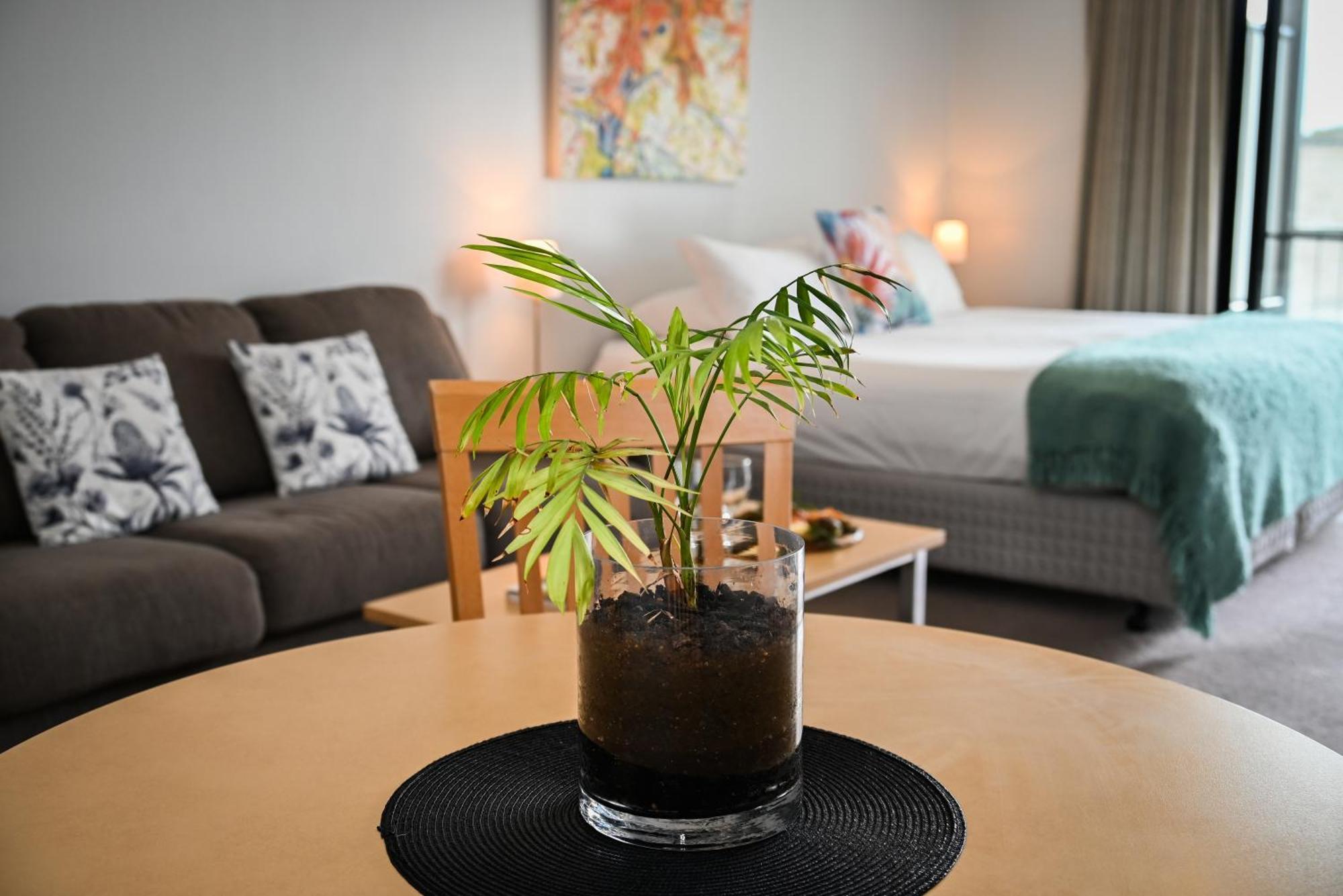 Mansfield Apartments Zewnętrze zdjęcie